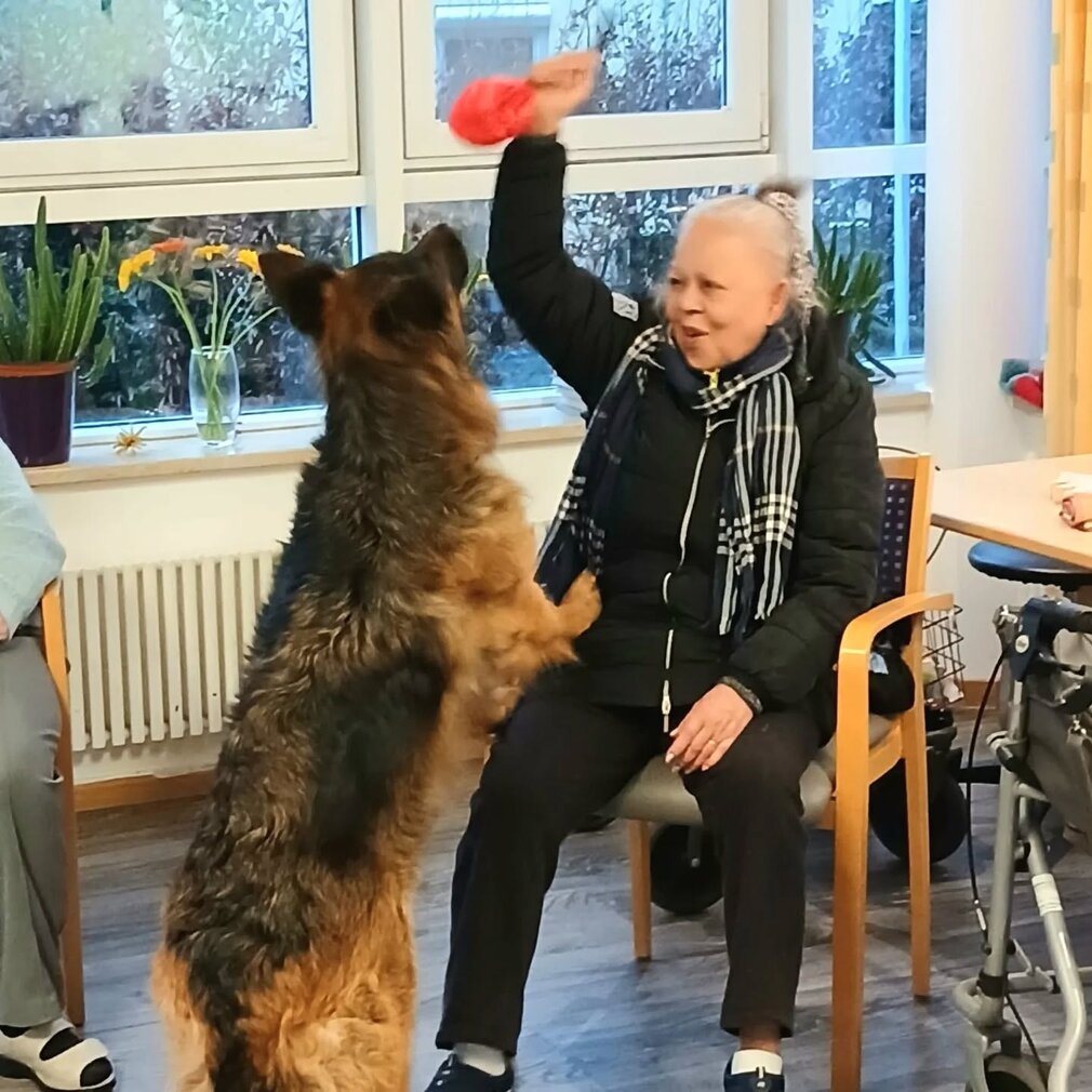 Therapiehund bei einem Besuch im Heim